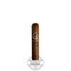 Quorum Short Robusto Cigar