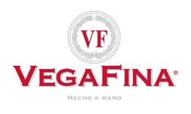 VegaFina Logo VegaFina Logo