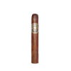 Asylum Sensorium 6X60 Cigar