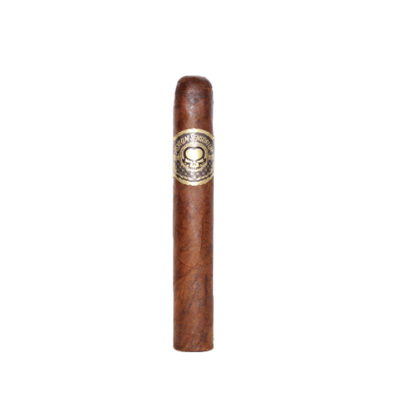 Asylum Sensorium 6X60 Cigar