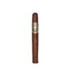 Asylum Sensorium 11/18 Cigar