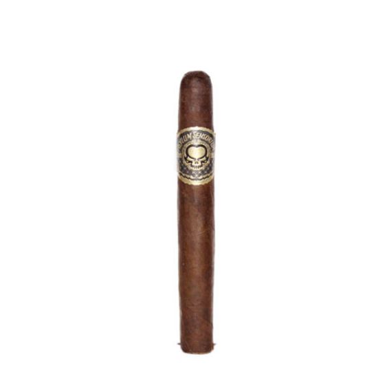 Asylum Sensorium 11/18 Cigar