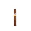 Tatiana Robusto Honey Cigar