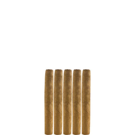 Ashton Connecticut Half Corona (5-pack)