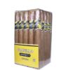Fratello Camo Sweet Churchill